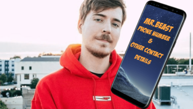 Photo of Mr. Beast Phone Number (2022) – Email, Contact, House Address