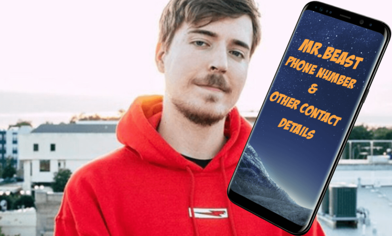 Mr. Beast Phone Number (2022) – Email, Contact, House Address